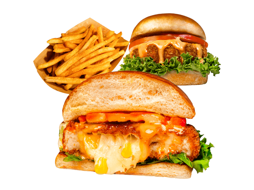 Lava Sandwich Combo with Fries